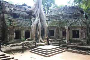 Ta Prohm, einer der vielen Tempeln rund um Angkor Wat